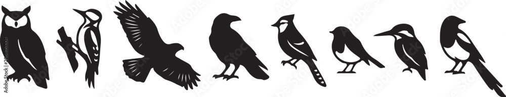Obraz premium Black bird silhouettes, crow icons, raven graphics, bird clip art, vector illustrations