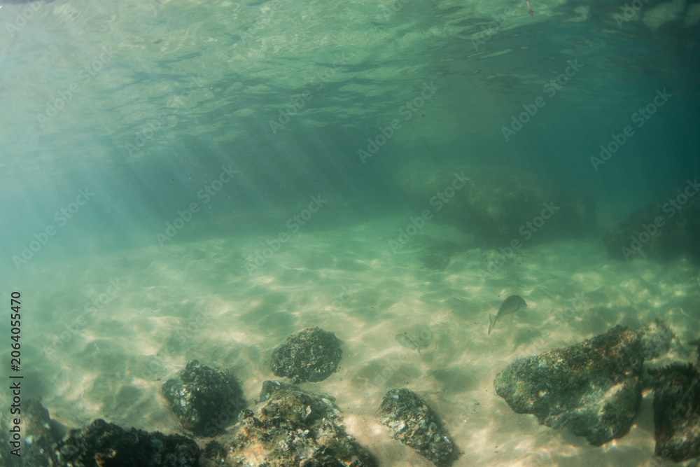 Fototapeta premium Ocean floor view with sand and rock.