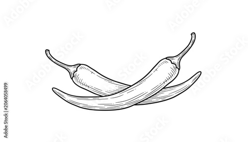 Hand drawn black and white sketch of two crossed hot chili peppers over a clean white background, detailed engraving style.