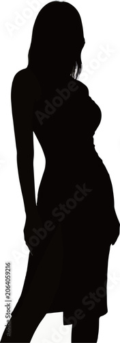 Elegant Silhouette: Modern Women's Fashion Silhouette Design