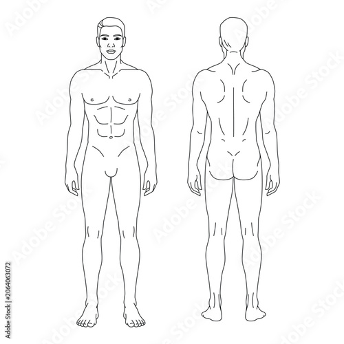 Bilde på lerret Minimalist male body anatomy template showing front and back views of the human figure
