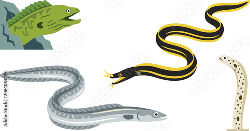 Obraz na płótnie Eel Marine Vector Illustration Featuring Moray, Ribbon, Conger, Garden Species w