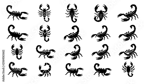 Fotografie Scorpion Silhouette Icon Collection Vector Illustration for Wildlife and Warning