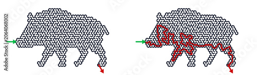 Maze illustration featuring a boar with a solution path outlined  