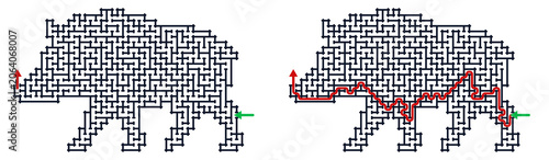 Boar maze with solution for kids activity games and puzzles  