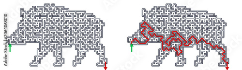 Maze depicting a boar with solution path in red lines  