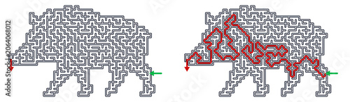 Maze with solution featuring a boar for kids activity games  