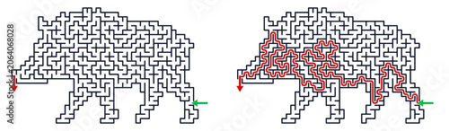 Maze puzzle of a boar with solution for kids activity games  
