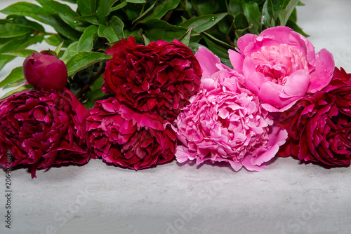 lush fragrant pink peonies in the interior