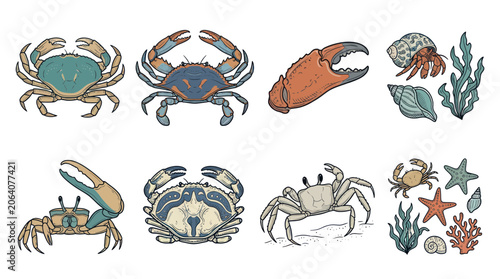 Tableau sur toile Seafood Collection: Crabs, Hermit Crab, Starfish, Shells, Seaweed