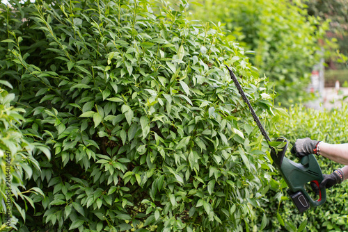 using an electric trimmer to maintain a lush green hedge in the backyard. Concept of landscaping and yard maintenance.