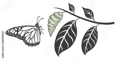 Tableau sur toile Graphic illustration of a butterfly emerging from a chrysalis on a tree branch w