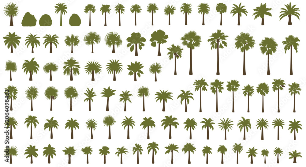Fototapeta premium Extensive collection of palm tree silhouettes in various shapes and sizes ideal for tropical landscape design elements.