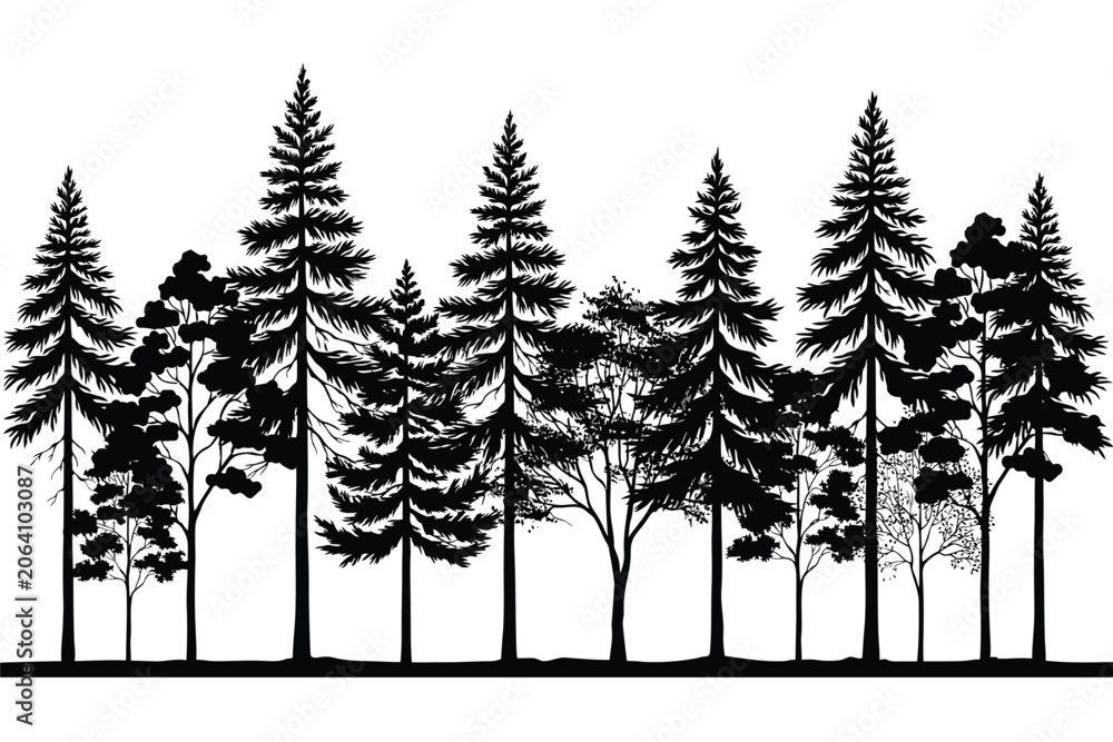 Obraz premium Pine forest background silhouette featuring detailed evergreen conifer trees fir spruce wood panoramic horizontal border landscape vector illustration graphic