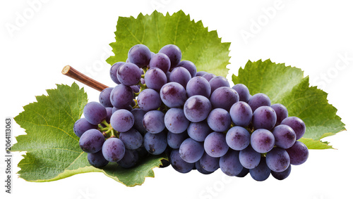 Fotografía Dark purple grapes with green leaves and stem