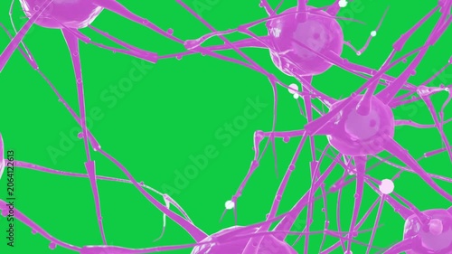 Camera sweep starting network pan and zoom, somas moving beads showing signals on transparent bg