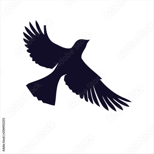 Silhouette of a bird in flight wings spread wide against transparent background.