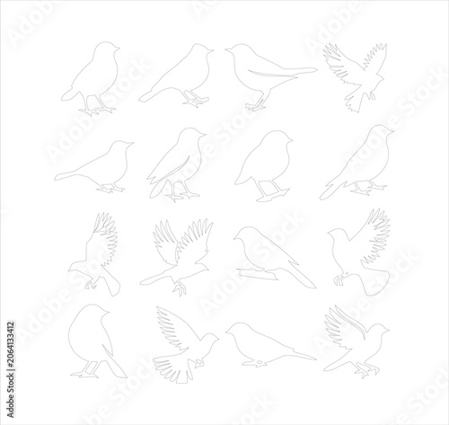Outline bird shapes set with thin line contours of wild avian species on grid background.
