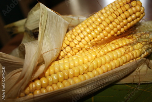 Tableau sur toile Fresh corn with golden kernels and dry husk rests on a green surface