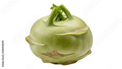 Fotografie Fresh green kohlrabi vegetable with leafy tops