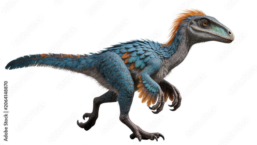 Fototapeta premium Feathered dinosaur with blue and orange plumage