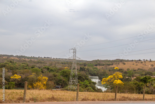 Paisagem rural com torre de energia elétrica, rio e árvores floridas sob céu nublado.