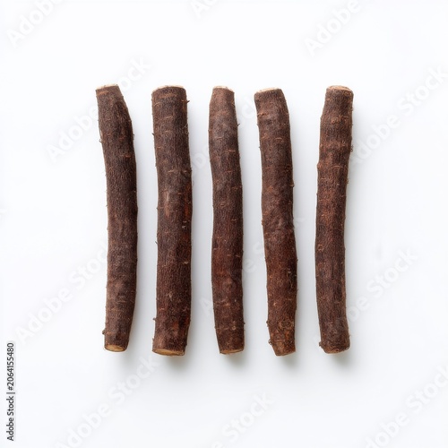 Five Natural Brown Sticks Arranged on a White Surface Highlighting Organic Textures and Shapes in Minimalist Presentation