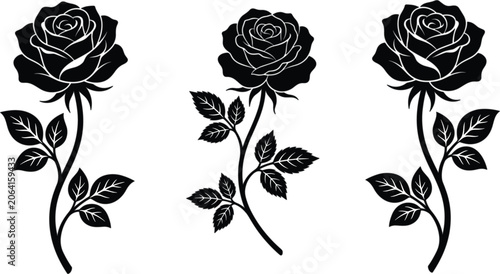 Photography Black and white rose vector illustration set with elegant stems and leaves for e