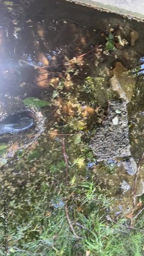 A person in wellingtons squashes on the swampy, flooded, grassy area. Waterproof shoes is an important attribute for rainy weather