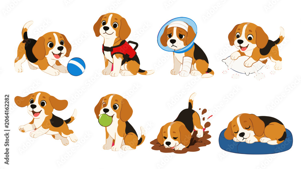 Obraz premium Cartoon beagle dog set with playful and resting poses