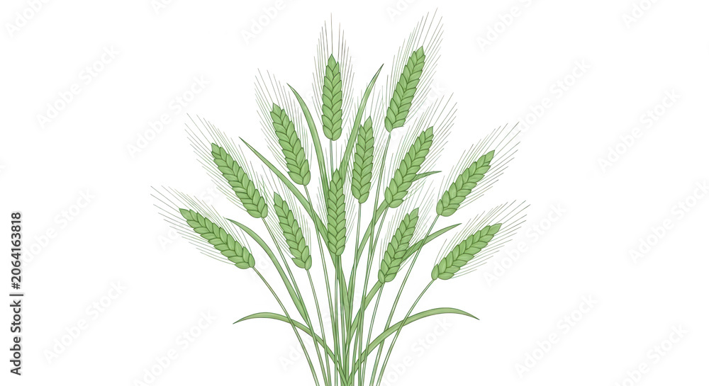 Fototapeta premium Fresh green rosemary plant with slender stems