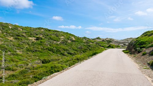 Photos Asphalt road cutting through green shrubs of Nature Parc of S'Albufera des Grau