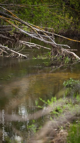 water timelapse