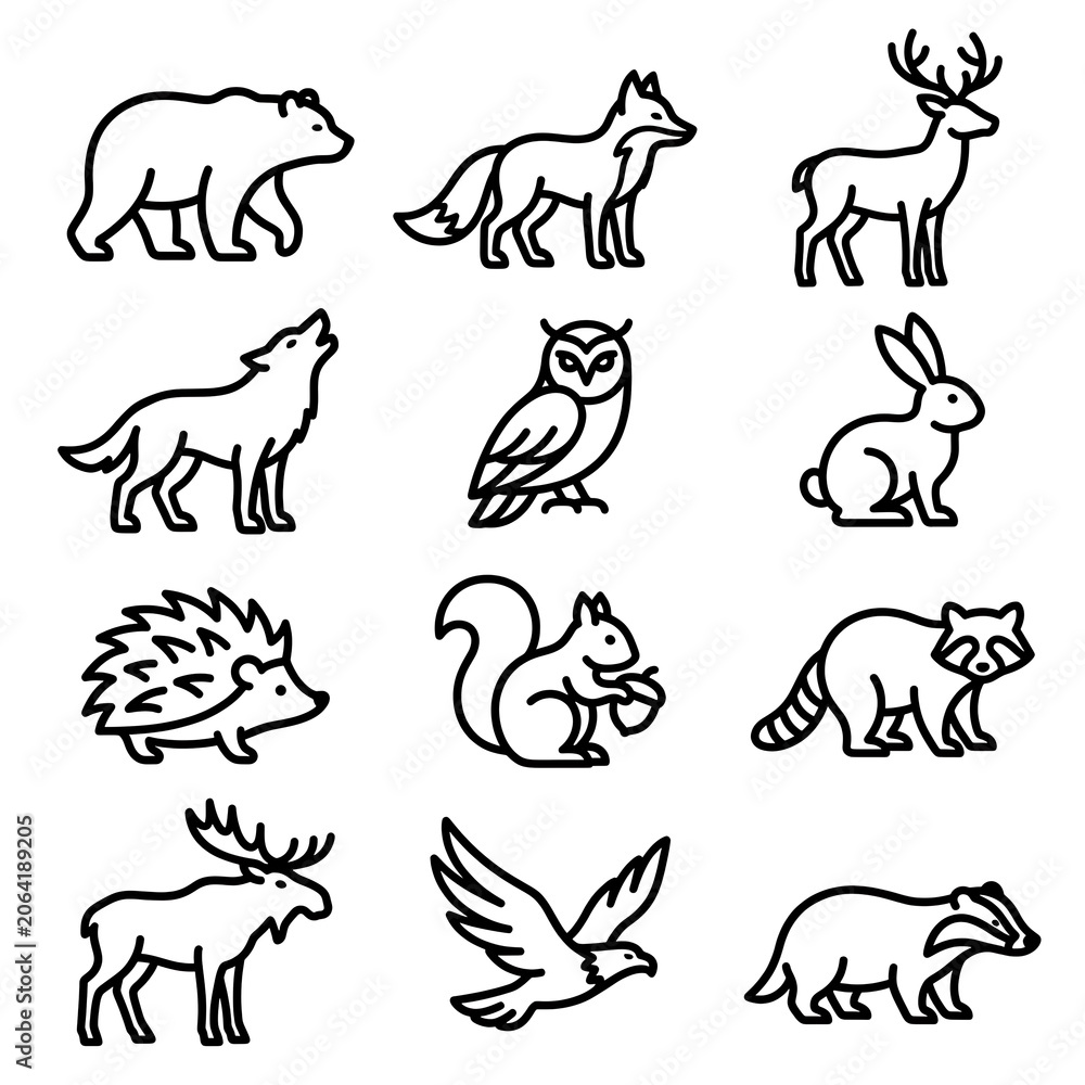 Fototapeta premium Set of wild animal line icons including bear wolf owl and squirrel with wildlife