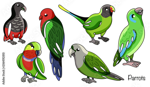 Parrots
