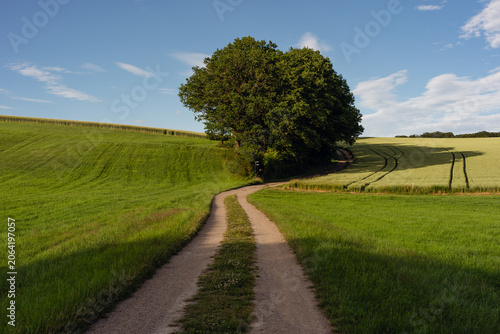 Ausoniusstraße im Hunsrück