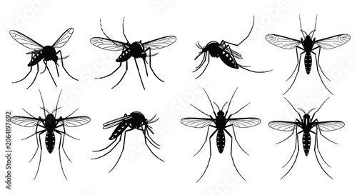 Fotografía Mosquito Silhouettes On White Background Insect Vector Illustration