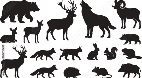 Forest and Woodland Wild Animal Black Silhouette Icon Collection with Bear Wolf Deer and Fox Vector Graphic Elements