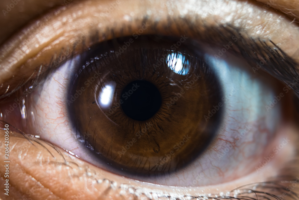 Foto ojos