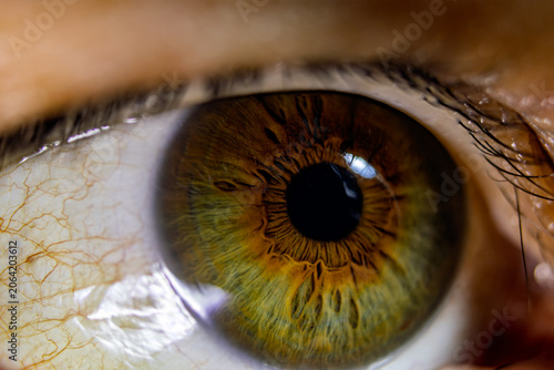 Schilderij op canvas ojos