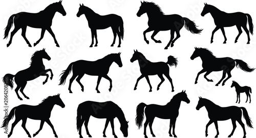 Konstfotografi Collection of black horse silhouettes in different poses isolated on a white bac