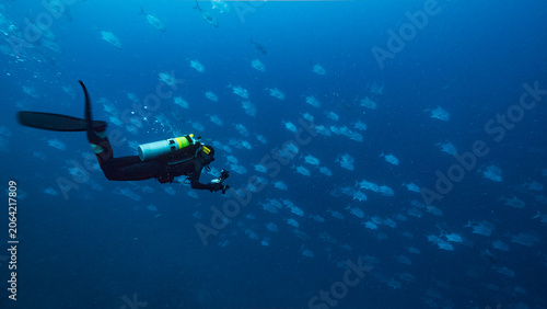 Photography SCUBA Diver swims with huge school of fish in open ocean