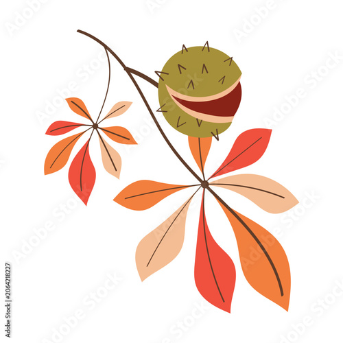 Autumn chestnut branch with colorful horse chestnut leaves and ripe conker. Seasonal botanical element isolated on white background