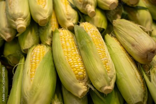 Foto Close up of fresh corn on the cob at market
