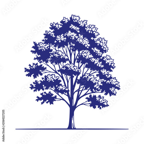 Detailed blue outline of a large deciduous tree with spreading branches and dense foliage, isolated on a white background