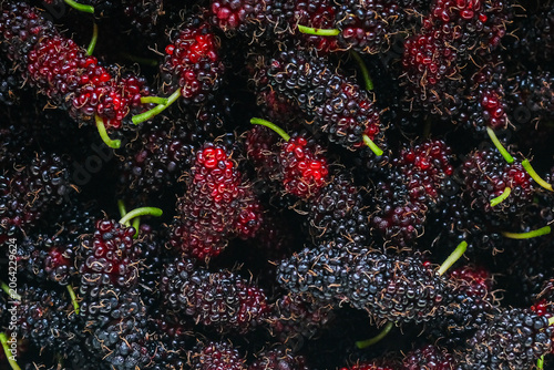 The background texture surface of a mulberry fruit.