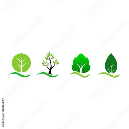 Growing plant stages illustration set with sprouting seedling and mature leaves on white background