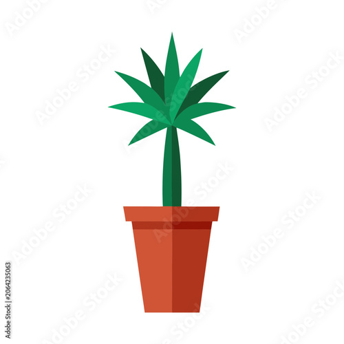 Potted green succulent plant in terracotta pot isolated on white background