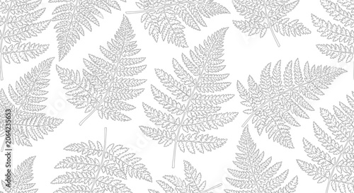 Fern leaf pattern repeating on white background botanical illustration