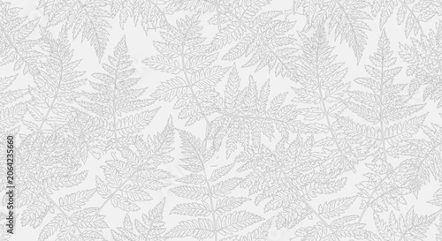 Fern leaves pattern grey illustration isolated on white background art